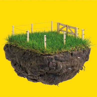 12_weide met hek.jpg